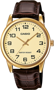 Casio MTP-V001GL-9BUDF Erkek Kol Saati